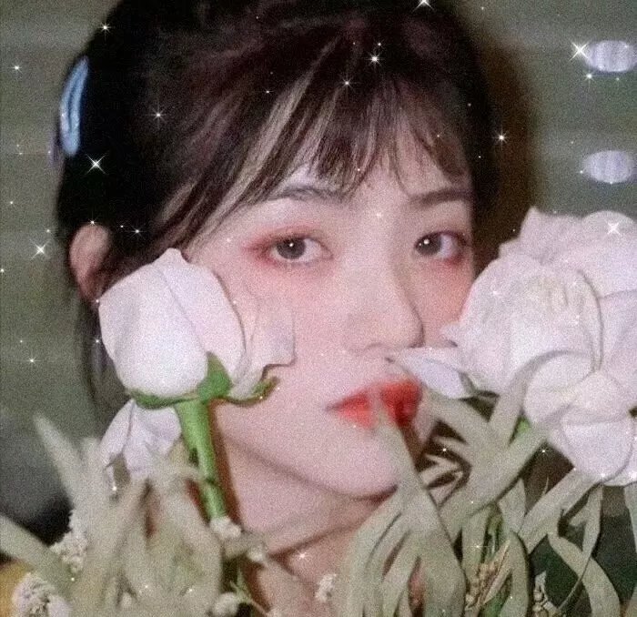 天使爱美丽国语